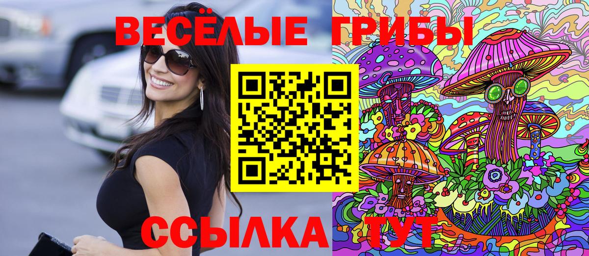 Галлюциногенные грибы MAGIC MUSHROOMS  Вход с VPN  Энгельс 