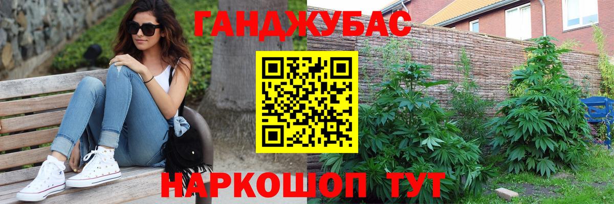 Каннабис планчик  Вход с VPN  Энгельс  Бошки Шишки ГИДРОПОН 